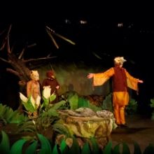 An Interview with Director Adam Bryan about RIKKI TIKKI TAVI, Opening This Weekend at