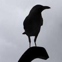 YELLOWSTONE Season 4 Exclusively Streaming Now on Peacock