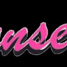 Porchlight Music Theatre Announces Cast And Creative Team For Porchlight Revisits NUN