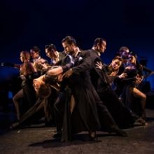 The New Orleans Ballet Association Announces 2021-2022 Main Stage Dance Season