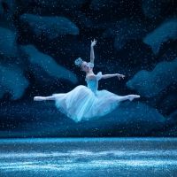BWW Review: NEW YORK CITY BALLET'S THE NUTCRACKER, David H. Koch Theater, Lincoln