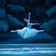 BWW Review: NEW YORK CITY BALLET'S THE NUTCRACKER, David H. Koch Theater, Lincoln