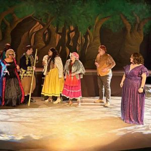 Review: INTO THE WOODS at The Merrick Theatre And Center For The Arts
