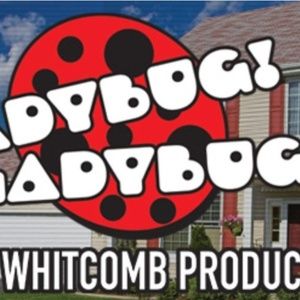 Review: LADYBUG! LADYBUG! at Lakewood Theatre