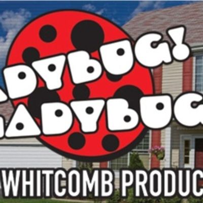 Review: LADYBUG! LADYBUG! at Lakewood Theatre