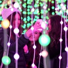 Warrington Contemporary Arts Festival Comes to Queens Gardens