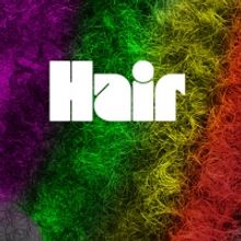 HAIR: THE AMERICAN TRIBAL LOVE-ROCK MUSICAL is Coming to the Mosesian Center for the 