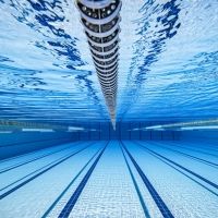 THE SWIMMER Will Stream From Theatre Rhinoceros
