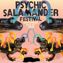 Modest Mouse to Present 'The Psychic Salamander Festival'