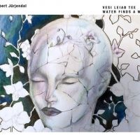 Robert Jürjendal Releases Fourth Solo Album 'Water Finds a Way'