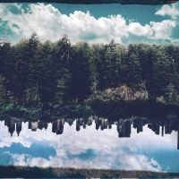 Lakewood Center For The Arts Presents Online Art Exhibit DISRUPTION