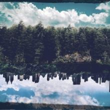 Lakewood Center For The Arts Presents Online Art Exhibit DISRUPTION