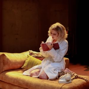 Review: THE MARYLIN CONSPIRACY, Park Theatre