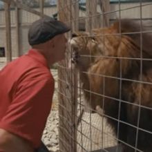 VIDEO: Watch the Trailer for TIGER KING: MURDER, MAYHEM, AND MADNESS