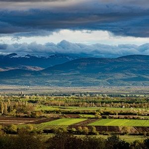 The Country of Georgia-It's Presence in NYC for Wine and Food