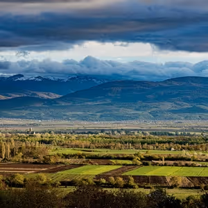 The Country of Georgia-It's Presence in NYC for Wine and Food