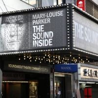 TV: Watch Broadway Walk the Red Carpet on Opening Night of THE SOUND INSIDE