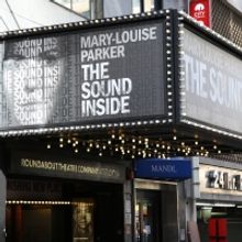 TV: Watch Broadway Walk the Red Carpet on Opening Night of THE SOUND INSIDE