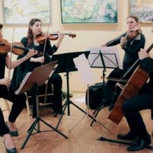 New Brunswick Chamber Orchestra to Present NBCO@MORVEN