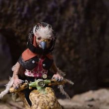 LAS NOGAS by Catya Plate to Screen at Oscar-Qualifying HollyShorts Screening Event in