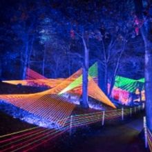 Holiday Light Event Lightscape Returns To The L.A. Arboretum