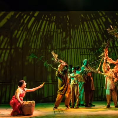 Review: LIFE OF PI at Hobby Center For The Performing Arts