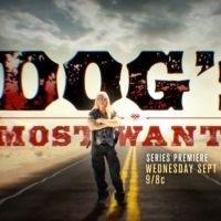 New Unscripted Series DOG'S MOST WANTED to Premiere on WGN America