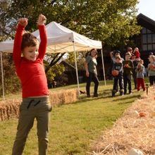 Bernheim to Host Events and Programs Admiring Fall Flora and Fauna