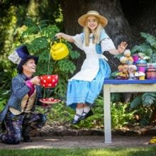 Join Alice As She Explores Wonderful Wonderland At The Athenaeum Theatre These Summer