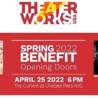 Daphne Rubin-Vega & More to be Honored at TheaterWorksUSA Benefit 