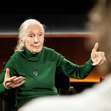 Netflix Debuts FAMOUS LAST WORDS Featuring Jane Goodall