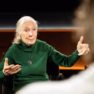 Netflix Debuts FAMOUS LAST WORDS Featuring Jane Goodall