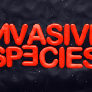Maia Novi's INVASIVE SPECIES Will Make its UK Premiere