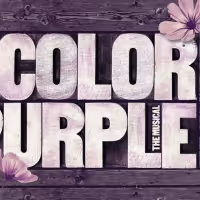 Ciara Joins THE COLOR PURPLE Film as Nettie