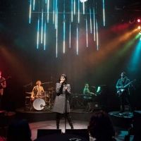 LADY BEATLE at The Little Red Company