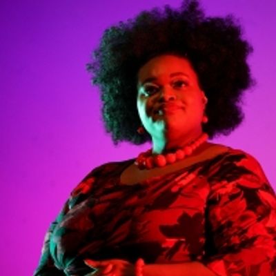 BWW Feature: ONLINE VIRTUAL OPERA TOUR No. 47 at Home Computer Screens