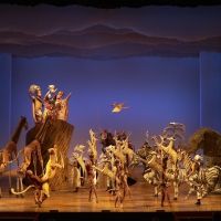Review: THE LION KING at Des Moines Performing Arts