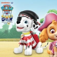 PAW PATROL LIVE THE GREAT PIRATE ADVENTURE is Coming to Greenville