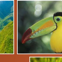 Las Vegas Science & Natural History Museum to Host Hispanic Heritage Month Art Exhibition