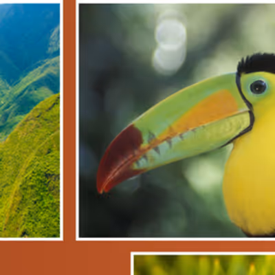 Las Vegas Science & Natural History Museum to Host Hispanic Heritage Month Art Exhibition