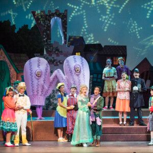 Sarasota Opera Receives Grant for ROOTABAGA COUNTRY Youth Production
