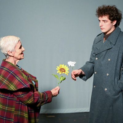 Review: HAROLD AND MAUDE at The Community Players