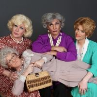 Hell In A Handbag Productions Announces 20th Anniversary Season