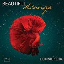 Donnie Kehr to Debut BEAUTIFUL STRANGE Live at The Cutting Room in June