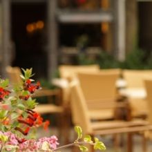 Go AL FRESCO This Fall in NYC-Our Top 20