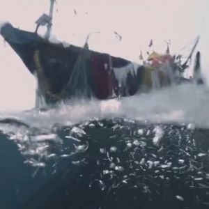 Sundance Winner 'Against The Tide' Is The Only Documentary Competing Among 14…