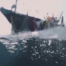 Sundance Winner 'Against The Tide' Is The Only Documentary Competing Among 14 Feature