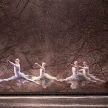 BWW Review: THE NUTCRACKER, Royal Albert Hall