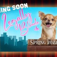 Audition Now for LEGALLY BLONDE JR. in Orlando