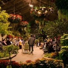 Midsommer Flight's TWELFTH NIGHT Will Play at The Lincoln Park Conservatory